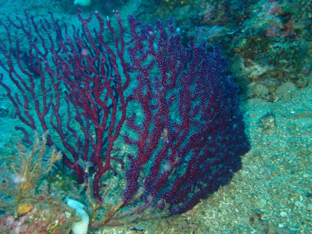 foto 08.06.19 21 16 48